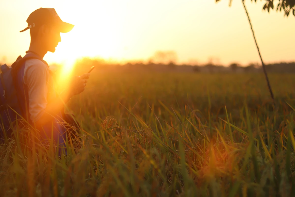 Man using phone in sunlight